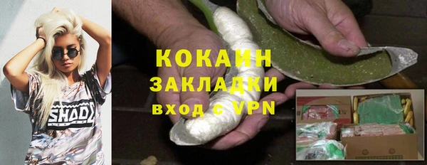 таблы Снежногорск