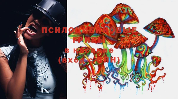 прущий лед Тында