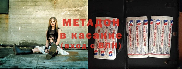 сатива Бородино