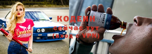 сатива Бородино